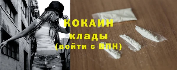 индика Лиски