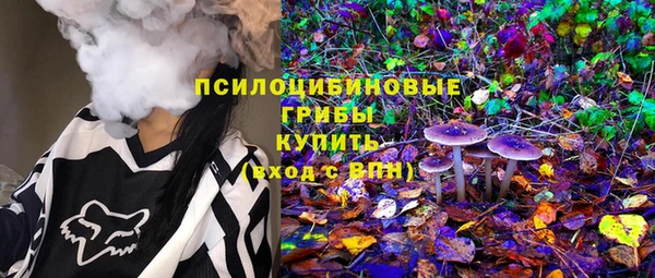 индика Лиски