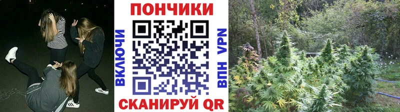 Бошки марихуана Amnesia  Томари 